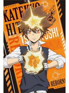 泽田纲吉-堂吉诃德明信片