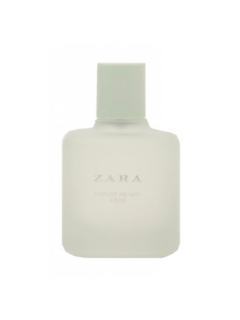 Zara Forget Me Not Aqua