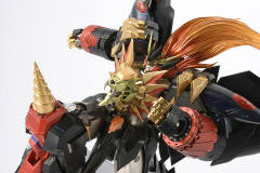 始源Gaogaigar-资料图
