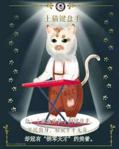 喵的名字-资料图