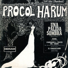 Una Palida Sombra