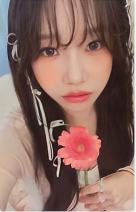 单封版专卡 ver.1