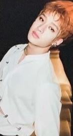 scars 成员卡1 Ver.D