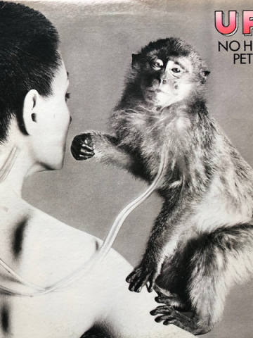 No Heavy Petting