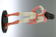 Treasure Figure Collection 菲娅娜 -资料图