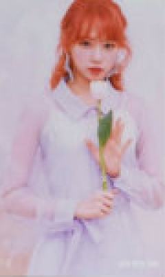 电子专专卡10 ver.A