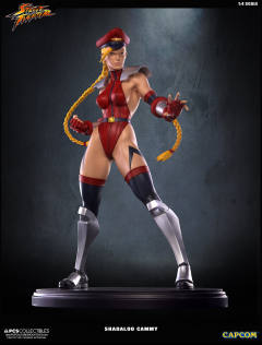Mixed Media 嘉米·怀特 Shadaloo Cammy-资料图