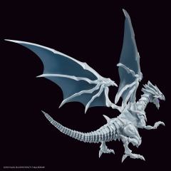 FRS Amplified 青眼白龙-资料图