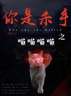 你是杀手之喵喵喵喵