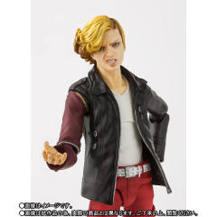 SHF 安库 人类形态-资料图