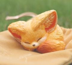 眠狐-原色-资料图