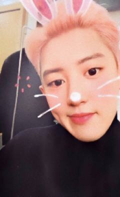 专卡灿 obsession verA.