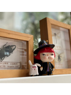 角角+金坚（女巫）