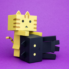 Nyanboard Figure Collection 阿楞 Black-资料图