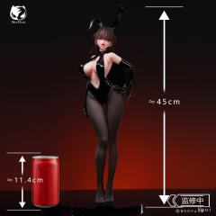 此方酱 兔女郎-资料图