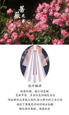 蔷薇花事-资料图