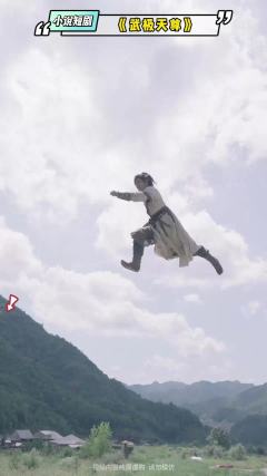 武极天尊