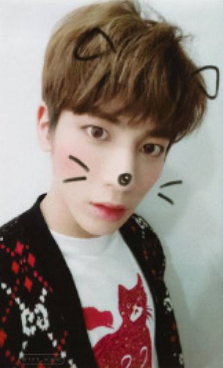 cat&dog ver.B