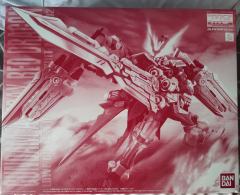 MG MBF-P02 异端高达红龙形态-资料图