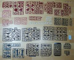 Variable Infinity Algebra SOLUH Barbaroi-资料图