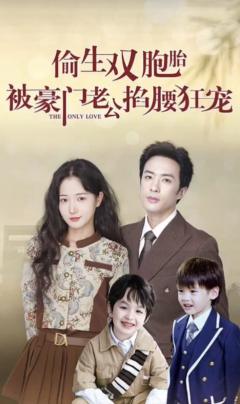 偷生双胞胎被豪门老公掐腰宠