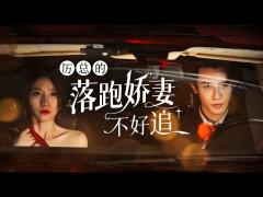 厉总的落跑娇妻不好追