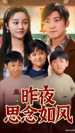 昨夜思念如风