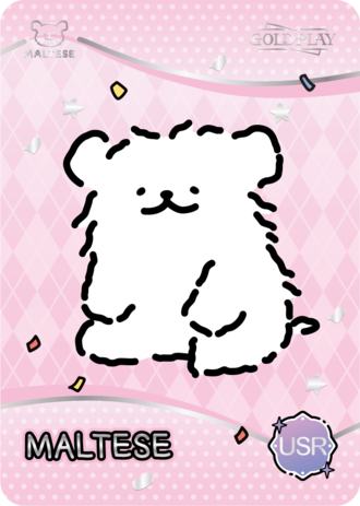 USR卡55