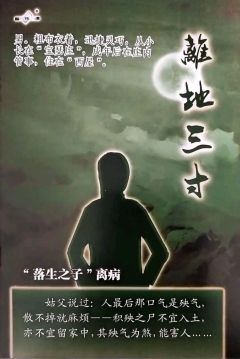 离地三寸-资料图