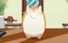裘恩