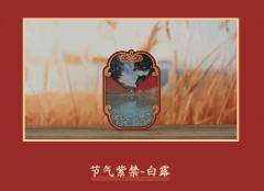 宫系列-故宫流麻冰箱贴盲盒-资料图