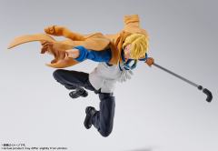 SHF  萨博 革命军参谋总长-资料图