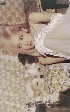 肉24台历dmm ver.B