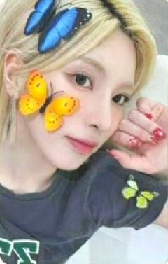 ms4.0 5 线上蝴蝶ver.