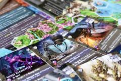 HEXplore It: The Mountains of Goda-资料图