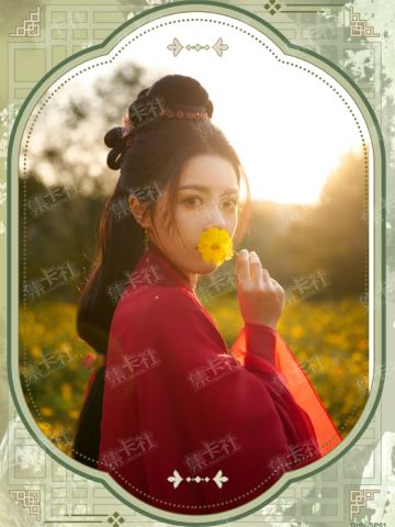 片场花絮卡