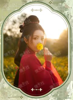 片场花絮卡
