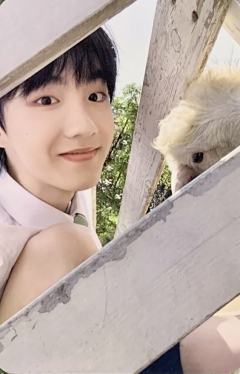 登陆日家族款 皓