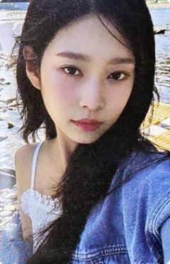 25台历wm1.0中签卡 线下ver.A