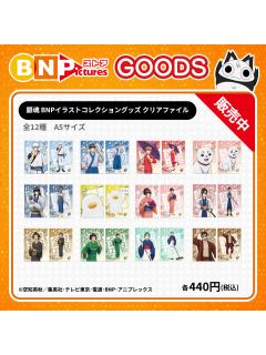 BNP文件夹
