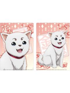 定春-BNP文件夹