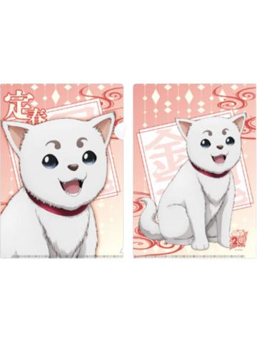 定春-BNP文件夹