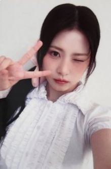ms预售2