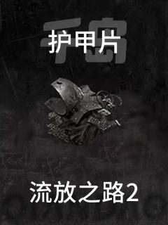 护甲片