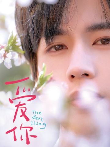 何苏叶 樱花