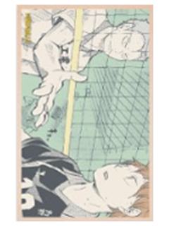 日向翔阳&青根高伸-JS2025春日祭纪念小卡