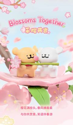 采樱共赏