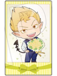 萨伯诺克·萨布洛-AJ2025 Bouquet ver拍立得
