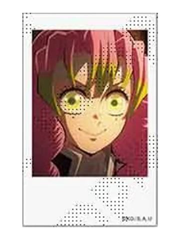 甘露寺蜜璃18-恋柱·甘露寺蜜璃cafe拍立得