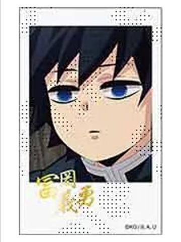 富冈义勇20(烫金)-水柱·富冈义勇cafe拍立得